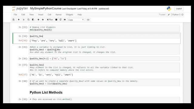 Fundamentals of Programming in Python Lecture  03   Python List Data Type   Data Types in Python