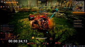 Нужен ли уровень в бдо?