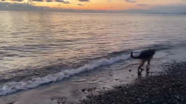 Исцеляющая музыка высоких вибраций энергий Земли, Небес, Воды, Ветра, Солнца и Нового Времени! смотреть онлайн