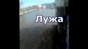 лужа