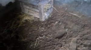 Содержание гусей на глубокой подстилке.Глубокая подстилка ВОДОГРАЙ.