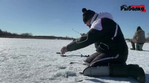 Уклейка весной на карьере.