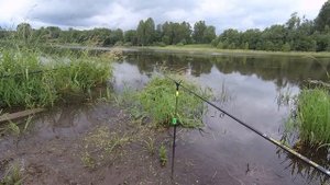 Рыбалка на Яузе.