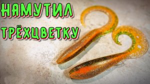 На эти трёхцветные силиконовые приманки обязательно клюнет трофейная рыба!