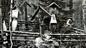 Безноженька