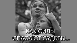 КАК СИЛЫ СПАСАЮТ СУДЬБЫ...