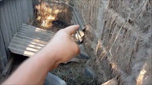 Загон для вьетнамских поросят/ Новая Жизнь РоМашки