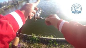 А где же форель?