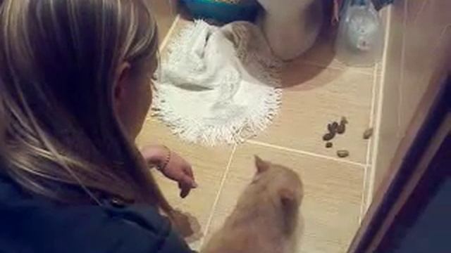 Ругает кота (Жорика) смотреть онлайн