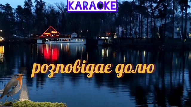 💙💛 Соловонька 💙💛 karaoke від Олега🎤 minus 🎤 Слова і муз Олег Гаврилюк смотреть онлайн