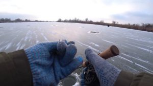 ТАКОЙ РЫБАЛКИ Я НЕ ЖДАЛ! Попали на клев щуки. Зимняя рыбалка на щуку на балансир.