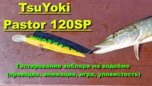 TsuYoki Pastor 120SP - тестирование воблера на водоёме (проводка, анимация, игра, уловистость)