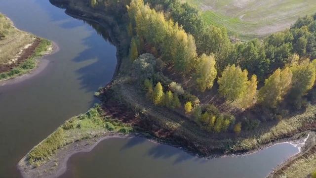 Пруд села Теплое аэросъемка
