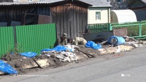 Рубрика "Регион" от 21.07.22 г.: Кедровый, Кривошеино, Александровский район