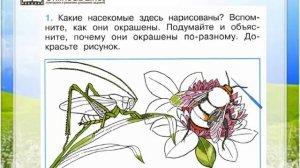 Задание 1 Кто такие насекомые? - Окружающий мир 1 класс (Плешаков А.А.) 1 часть