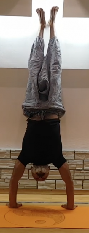 Адхо Мукха Врикшасана | Стойка на руках | Средний уровень