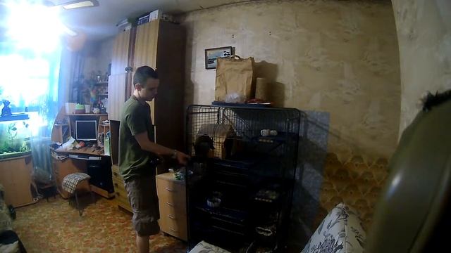 Когда дома нечего делать, то я гоняю вертолетик(3) смотреть онлайн