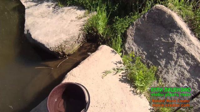 Поездка на маленькую речку. Рыбалка на мормышынг