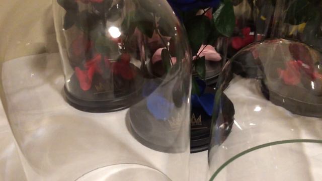 Наш купол, для Розы в колбе оптом