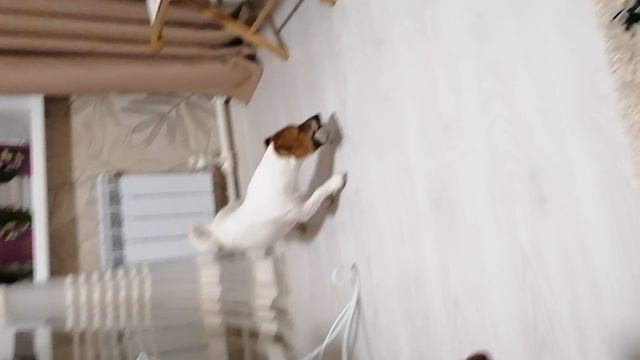 Играет