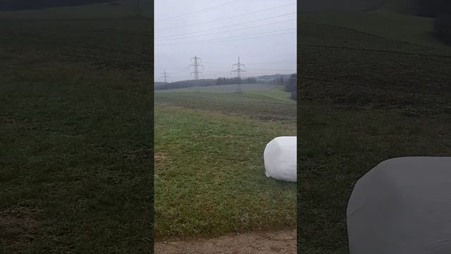 утренняя прогулочка по лесу, всем позитивчика, хороших выходных 🤗🤗 смотреть онлайн