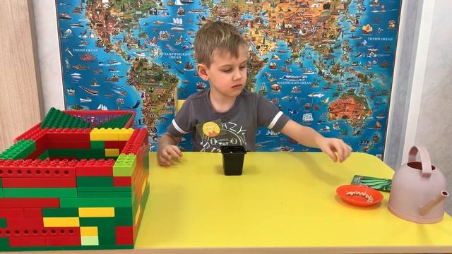 Видеоинструкция по реализации STEM-практики «Три поросенка» (изучение условий для роста растений) смотреть онлайн