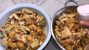 Как солить грибы волнушки Холодный засол грибов