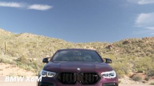 BMW X6M vs Audi RS Q8 : Which is the Best Coupe SUV ?