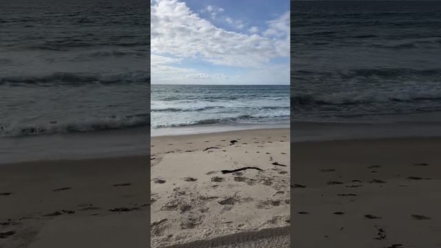 Hermosa Beach between Manhattan Beach Pier and Hermosa Beach Pier #shorts