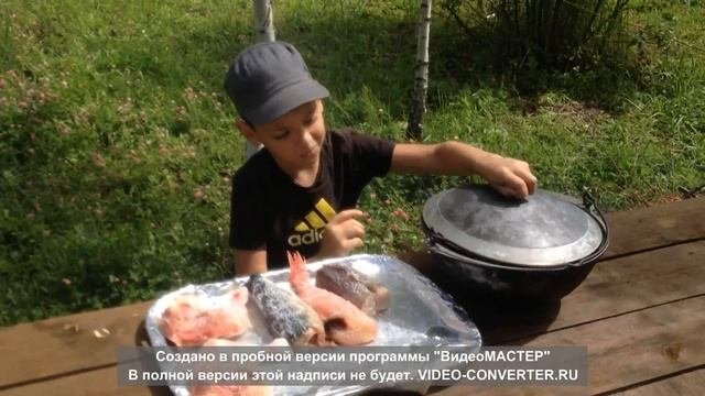 Копчение на даче