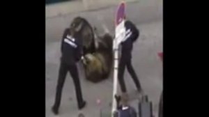 Издевательство над животными!