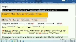 Sunrise 7 unit 2 lesson 2 have/had got/some. any. a. an
