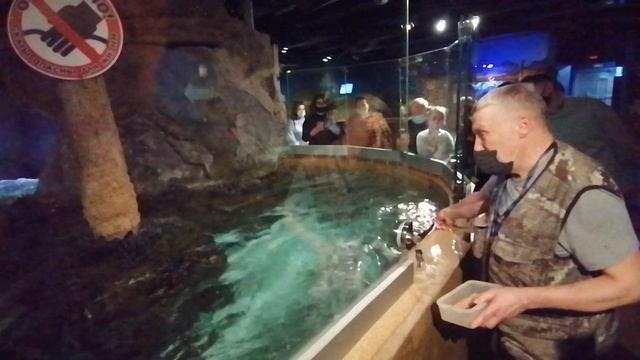 Океанариум в Санкт-Петербурге
