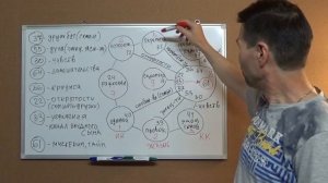 Юникей и Хьюман Дизайн. 8-й центр - Эмоциональная осознанность