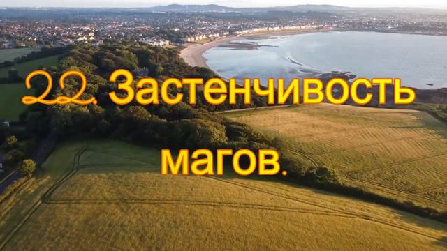 22. Застенчивость магов. Вадим Зеланд.