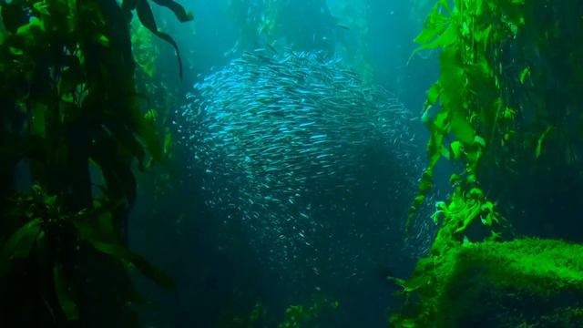 Мой первый клип смотреть онлайн