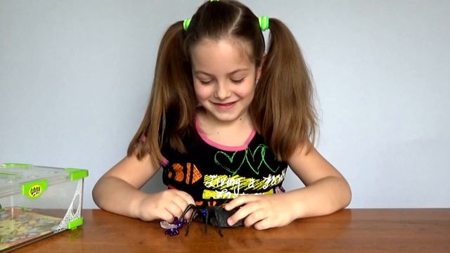 Наш паук отказался есть муху. Игры с интерактивным пауком Wild Pets. смотреть онлайн