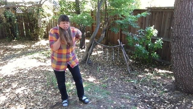 Storytelling of Jack and the Flying Ship Part 1 an Appalachian Tale смотреть онлайн