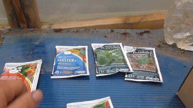 Чем удобрить рассаду овощей, удобрение рассады капусты смотреть онлайн