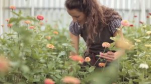 Летний день на ферме Fluffy Flower