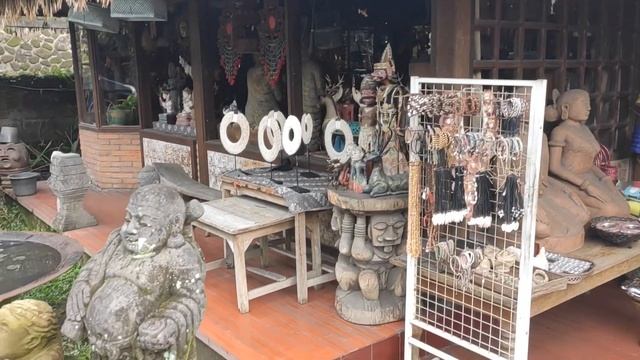 БАЛИ! Убуд - культурная столица БАЛИ! Рисовые террасы Тегаллаланг! Кофе Лувак!