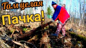 500кг,под бугорком! мы в шоке они лежали пачкой!