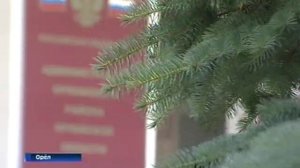 В деревне Лаврово выставлен на торги мемориал – «Памятник латышским стрелкам»