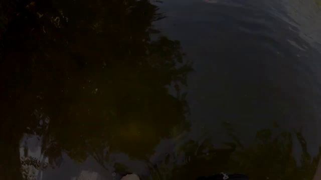 коп 2017 в воде первое золото смотреть онлайн