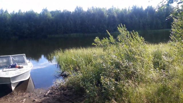 Утро после рыбалки смотреть онлайн