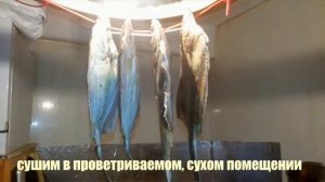 Вяление камбалы