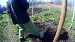 Открываем виноград