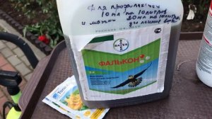 Самая эффективная обработка роз от болезней.
