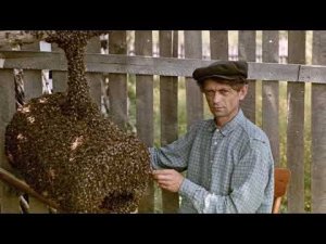 п. АНДАРМА - БЫЛА и НЕТУ. Бакчарского района.