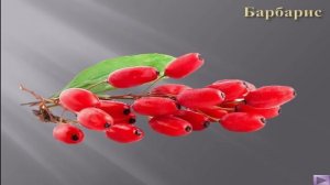 Презентация "Ягоды"